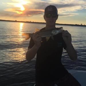 Meet your Posher, Peter